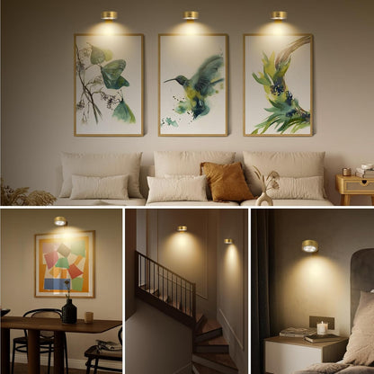 Lunel™ – Magnetic Lighting for Art Displays (50% Off)