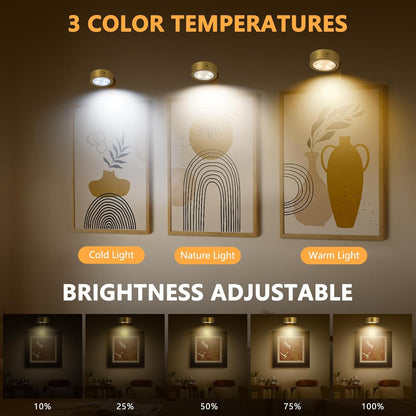Lunel™ – Magnetic Lighting for Art Displays (50% Off)
